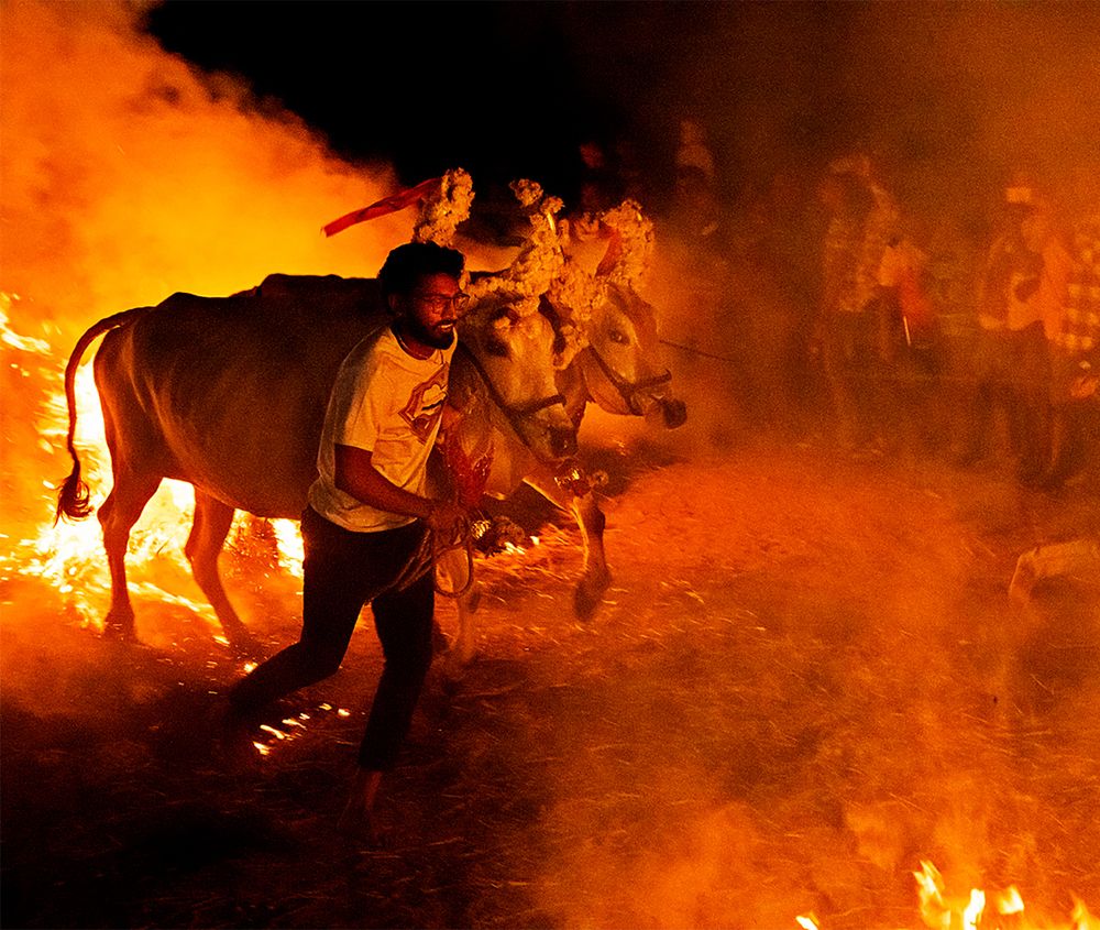 Photograph by LOKANATH MUDA