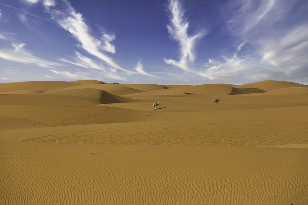 Photograph by Michael Latman