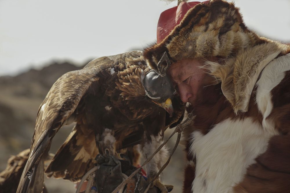 Фотография автора Наталья Фаттахова