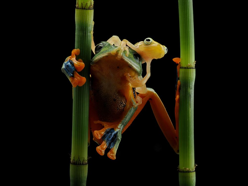 Photograph by Dzulfikri Dzulfikri