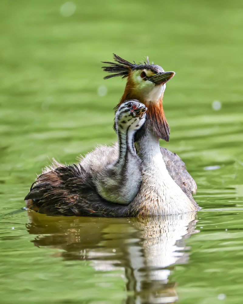 Photograph by Руслан Pl