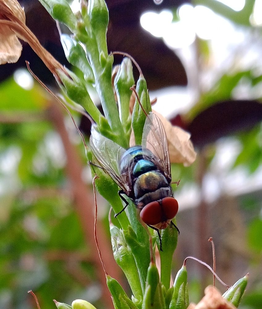 Photograph by Yasha Akhtar