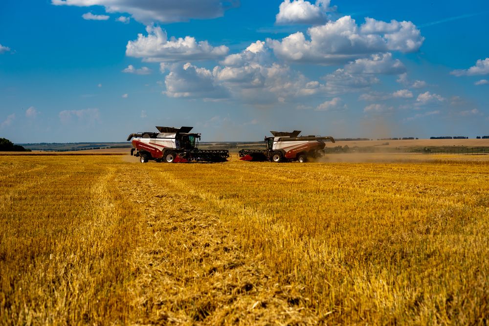 Photograph by Елена Сиушова