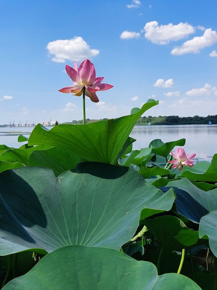 Photograph by Нина Паршина