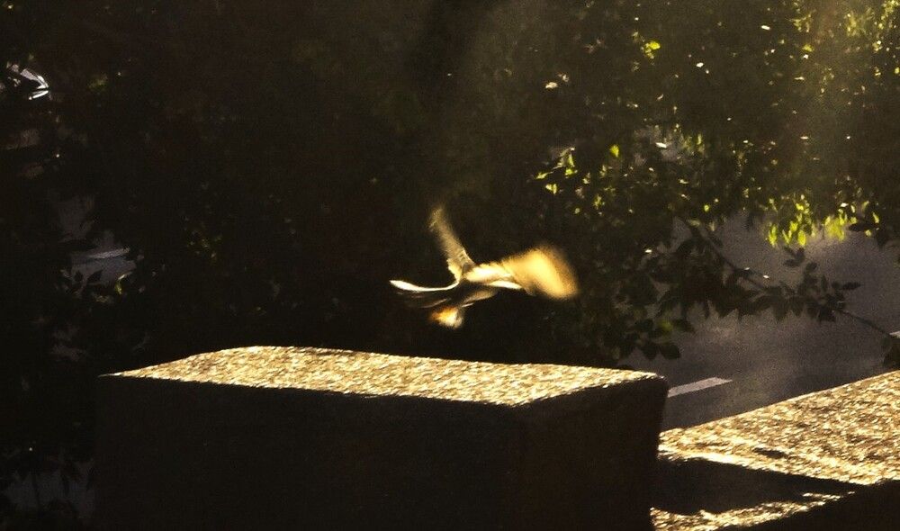 Photograph by Сергей Хвостовец