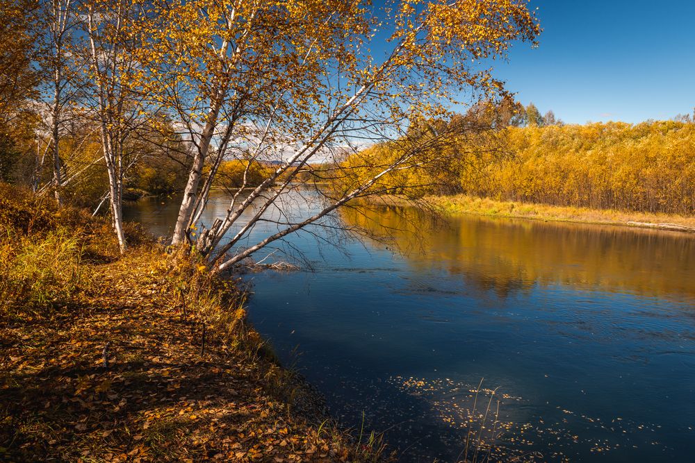 Photograph by Жора Житников