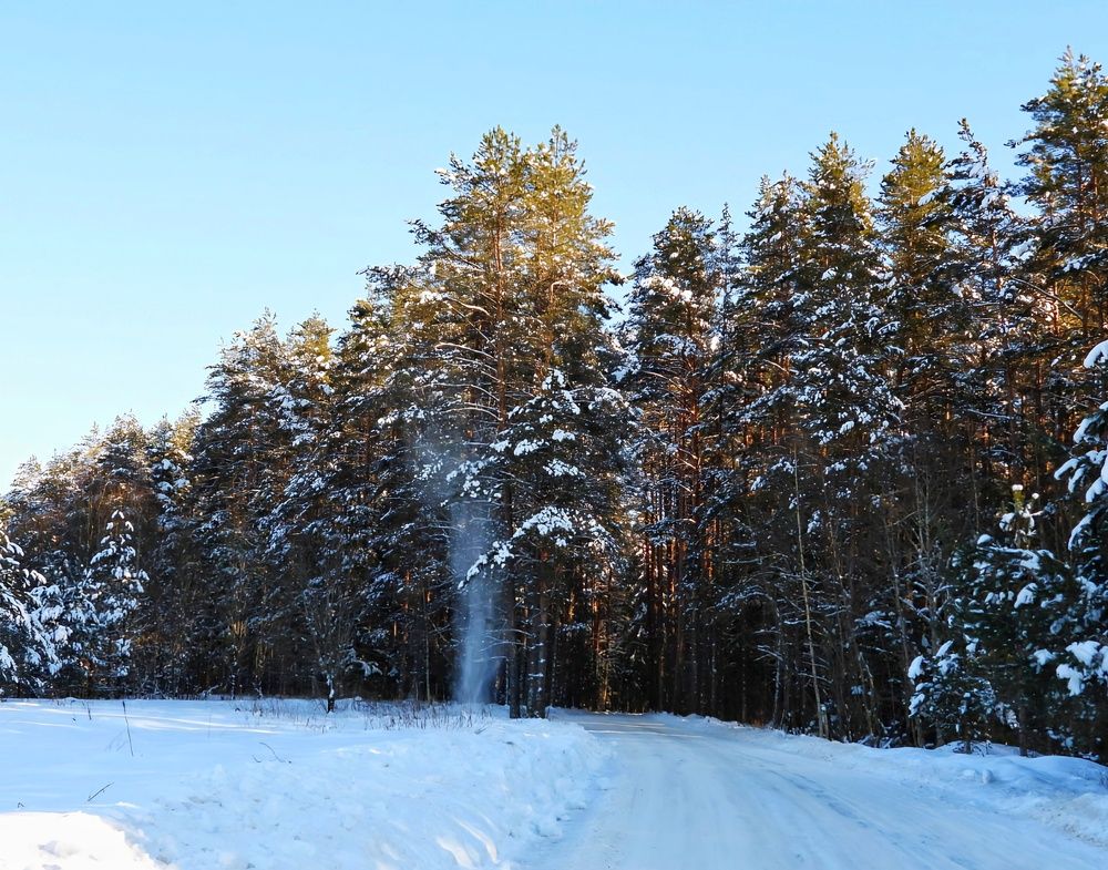 Photograph by Александр Шаварин