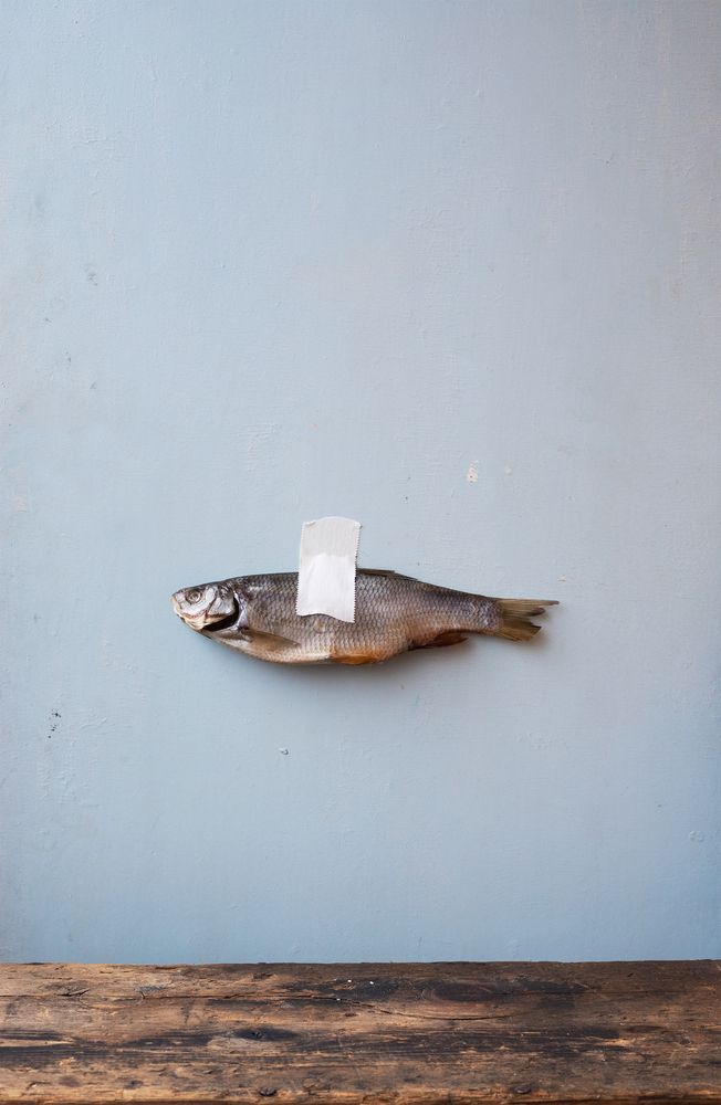 Photograph by Анна Статейко