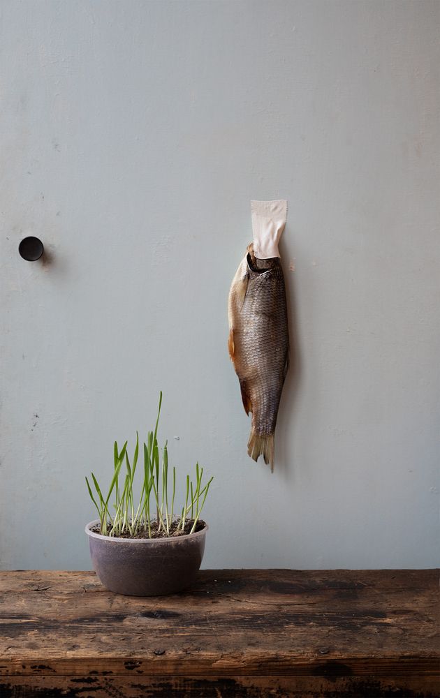 Photograph by Анна Статейко