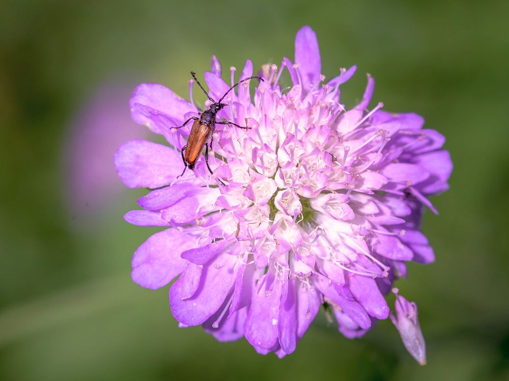 Photograph by Владимир Карпов
