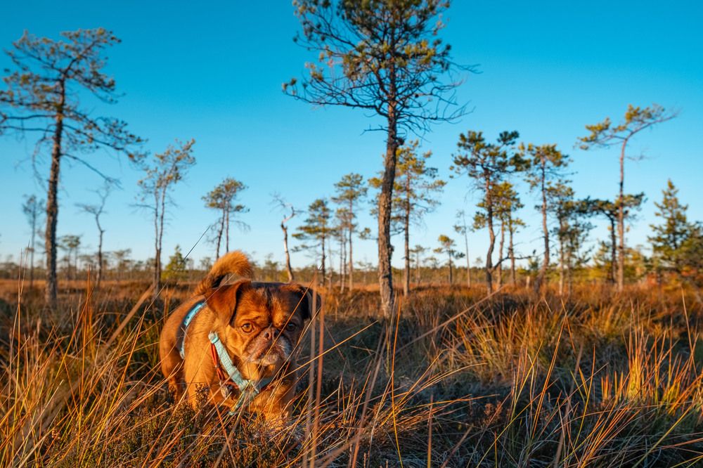 Photograph by Misha Khazov