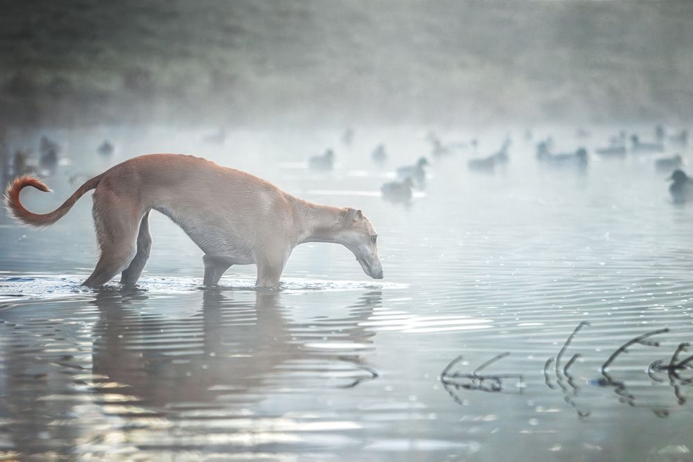 Photograph by Зубкова Юлия