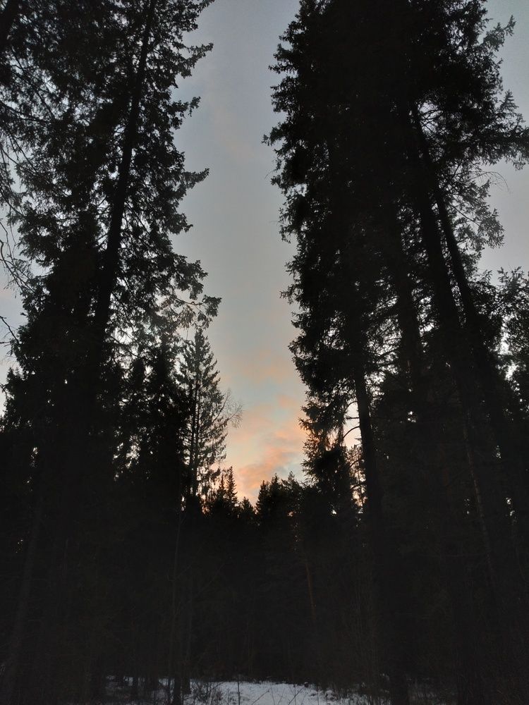 Photo #12001092