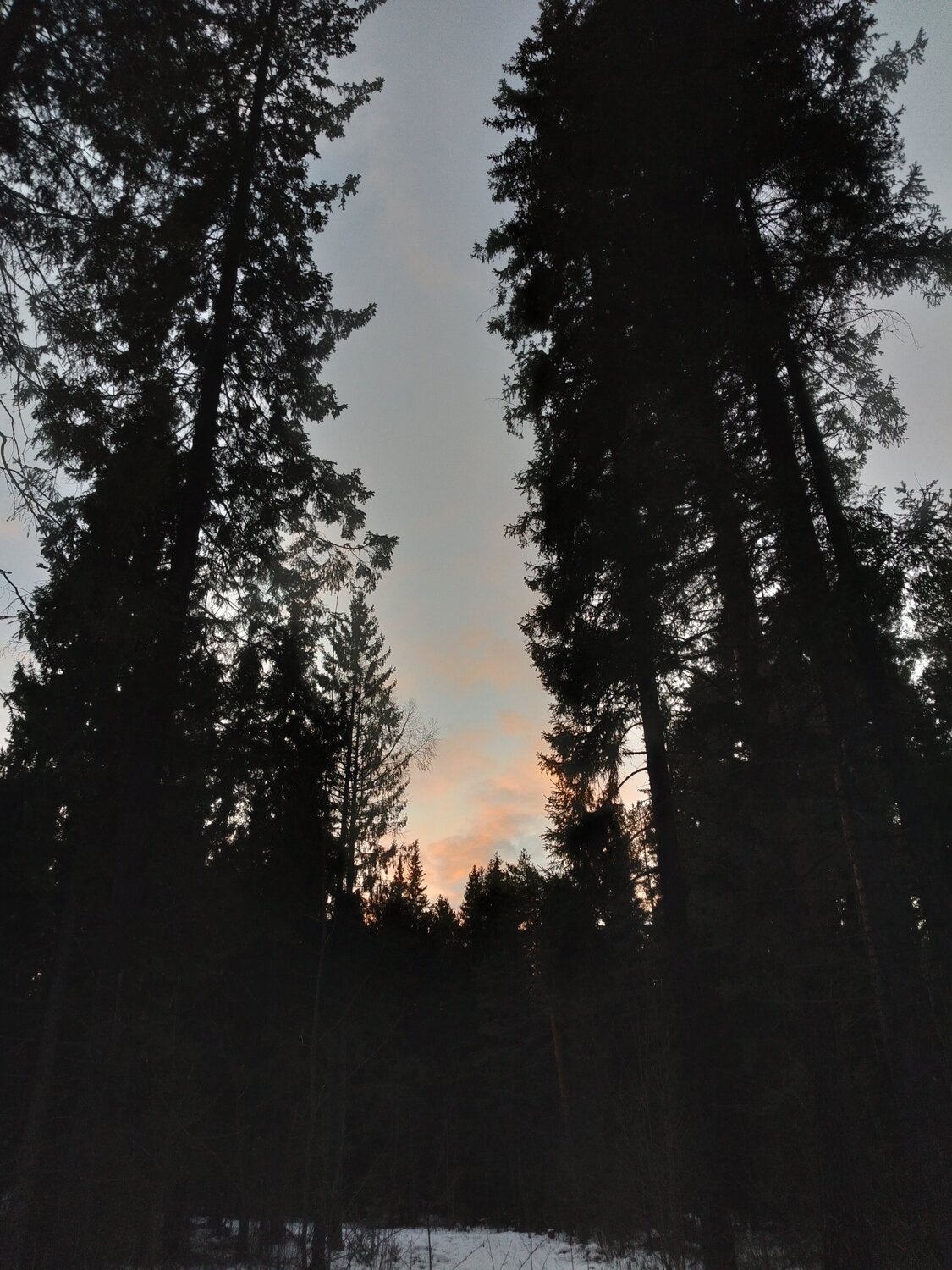 Photo #12001092