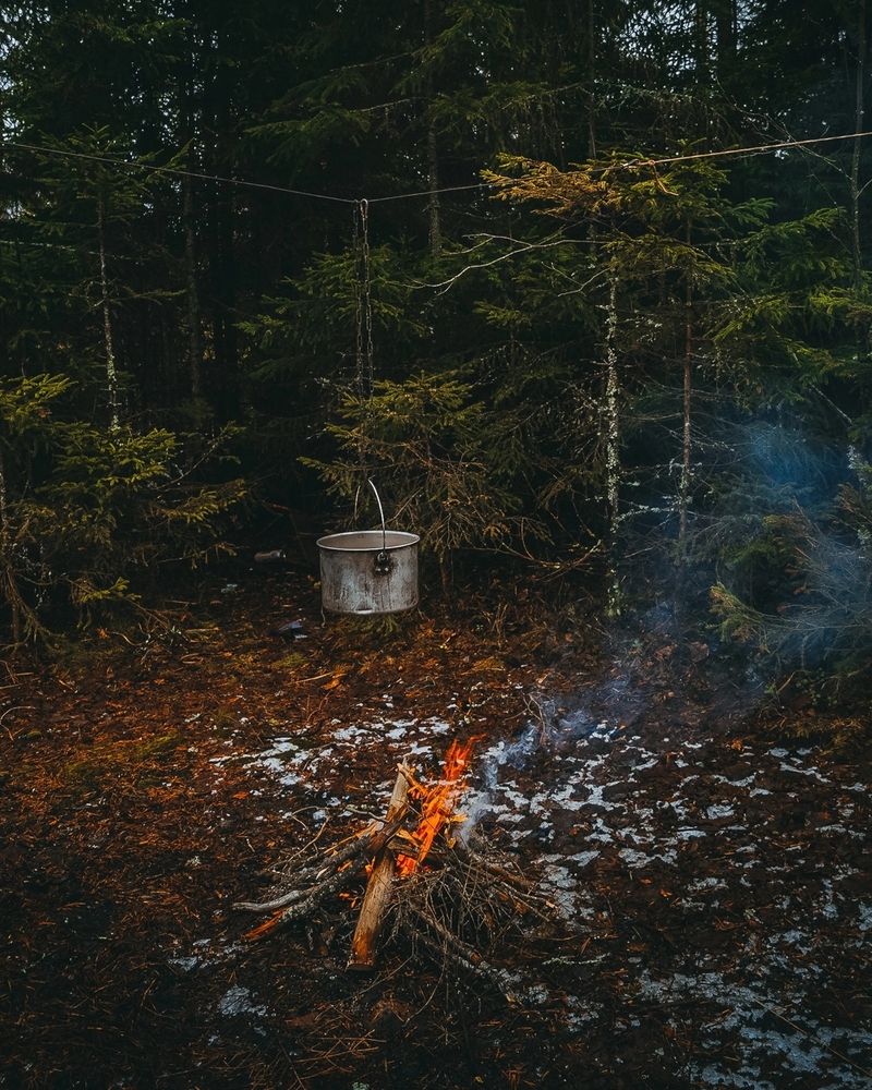 Photograph by Татьяна Иванеева