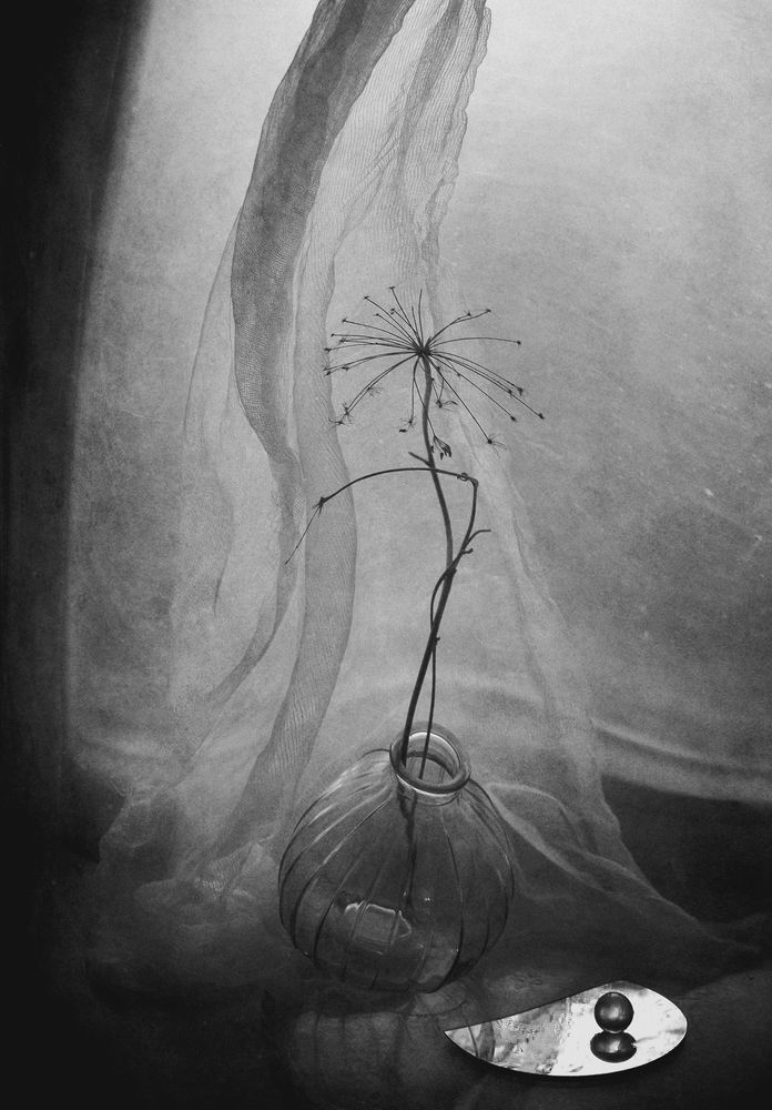 Photograph by Александр Хромеев