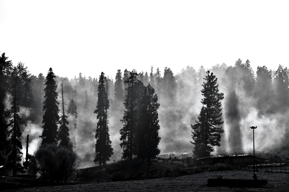 Photograph by Prapti Bhattacharya