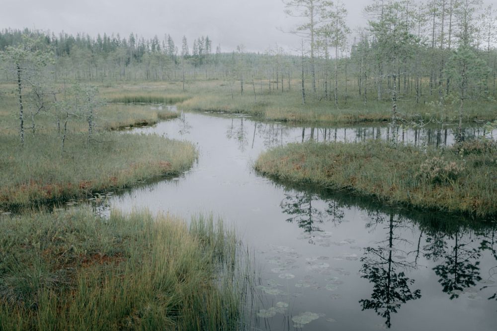 Photograph by Misha Khazov