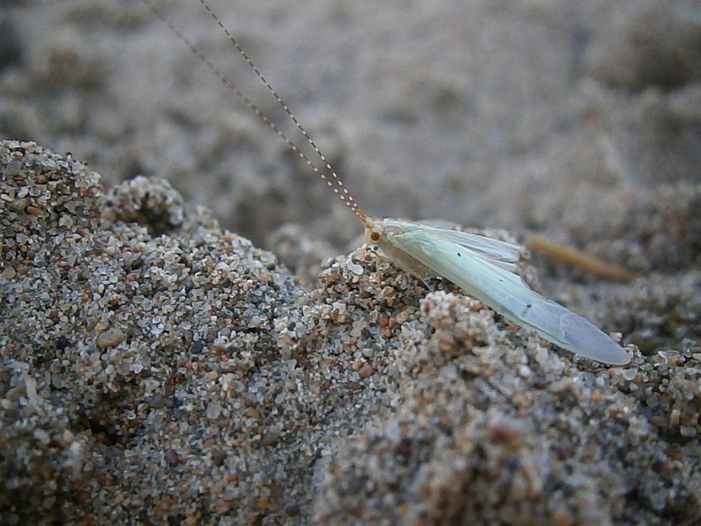 Photograph by Ульяна Бедрицкая