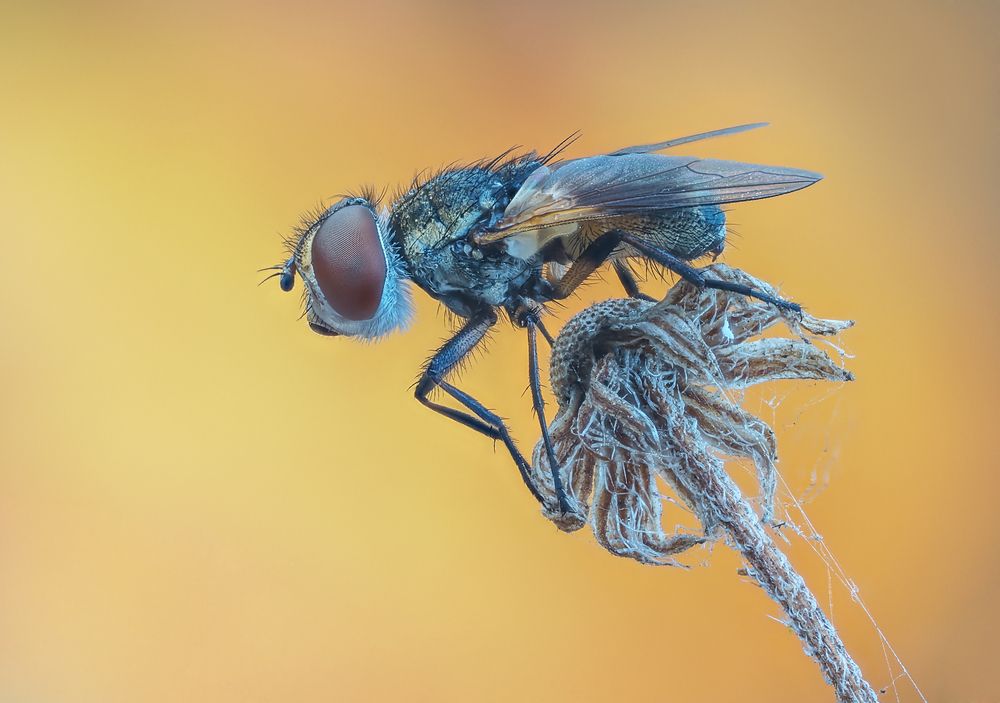 Photograph by Чепленко Алексей