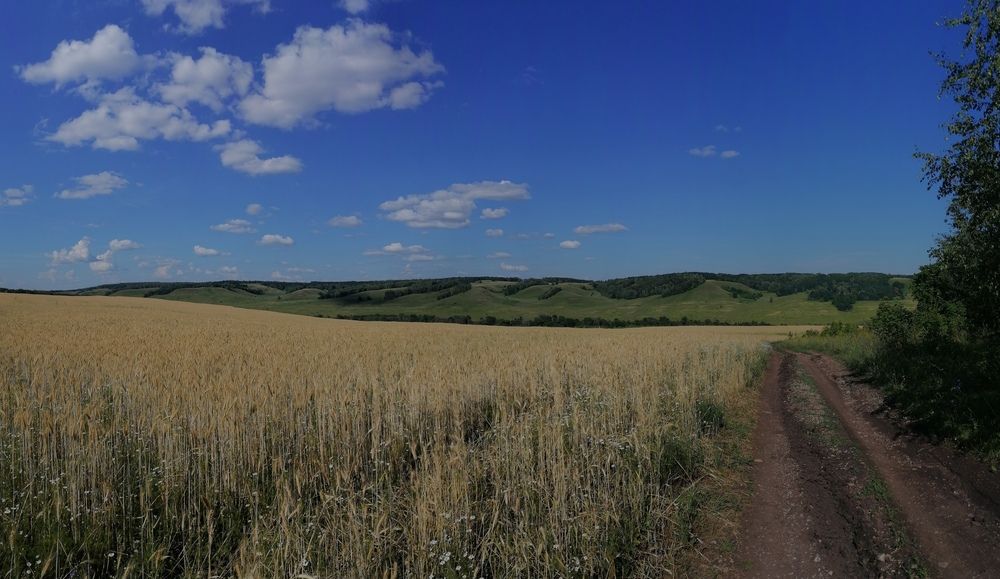 Photograph by Игорь Коцюба