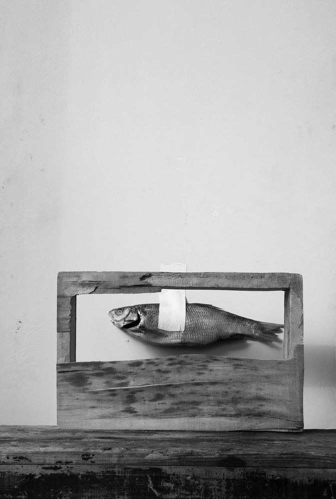 Photograph by Анна Статейко