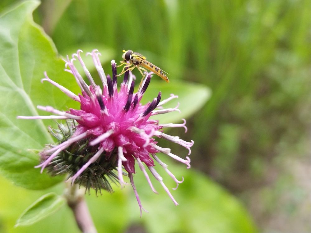 Photograph by Надежда Горчакова