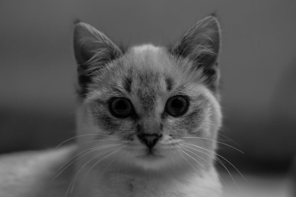 Photograph by Курдюмов Антон