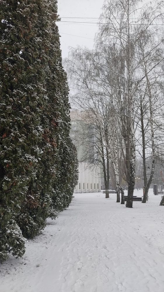 Photograph by Ксения Голубкова