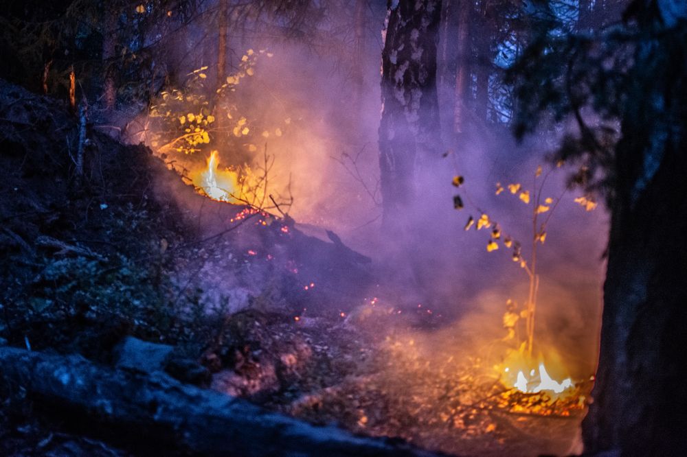 Photograph by Дмитрий Анисимов