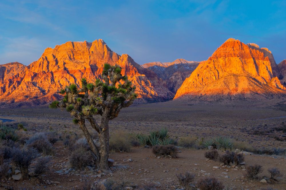 Photograph by Daria Osipova