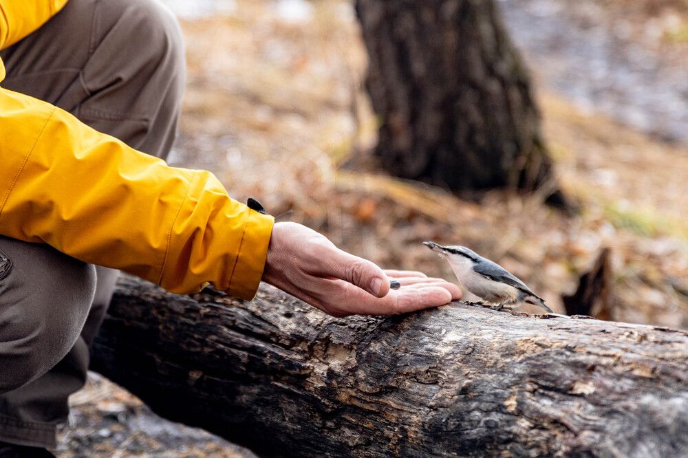 Photograph by Вячеслав Анатольевич