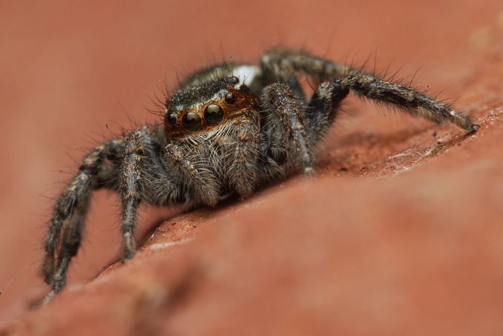 Фотография автора Ashir Kumar