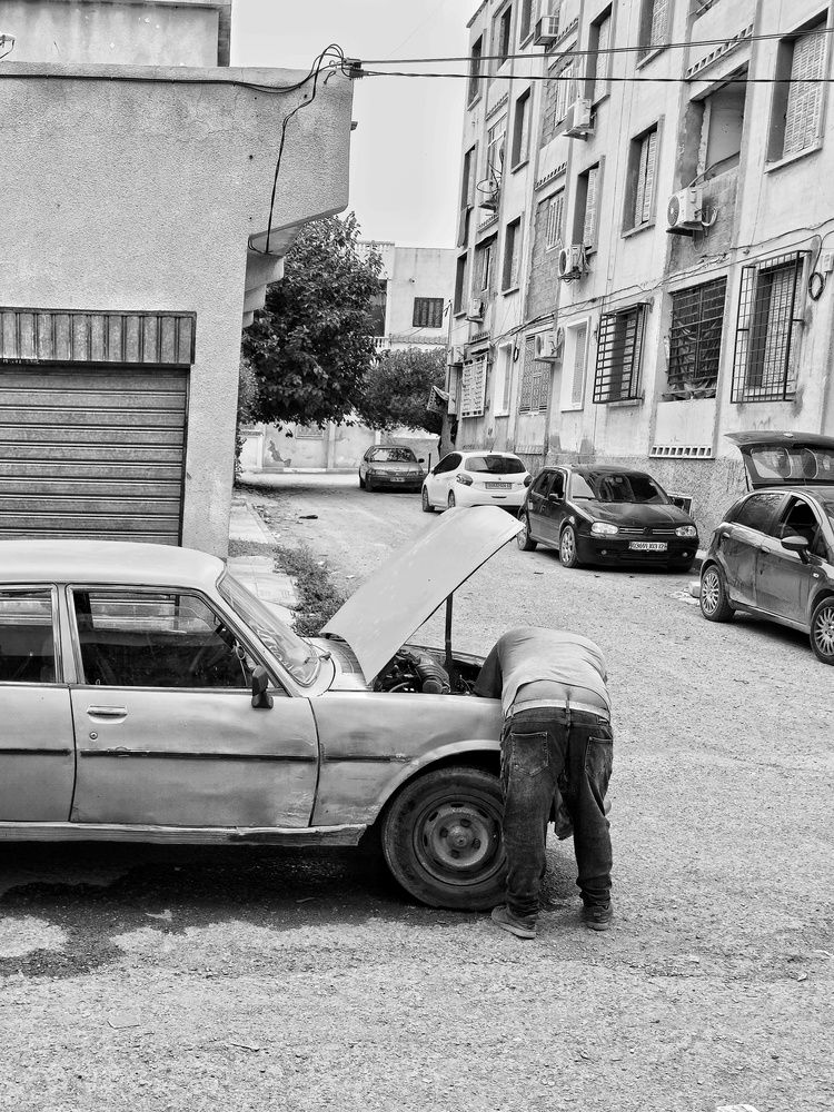 Photograph by Mohamed Rezaiguia