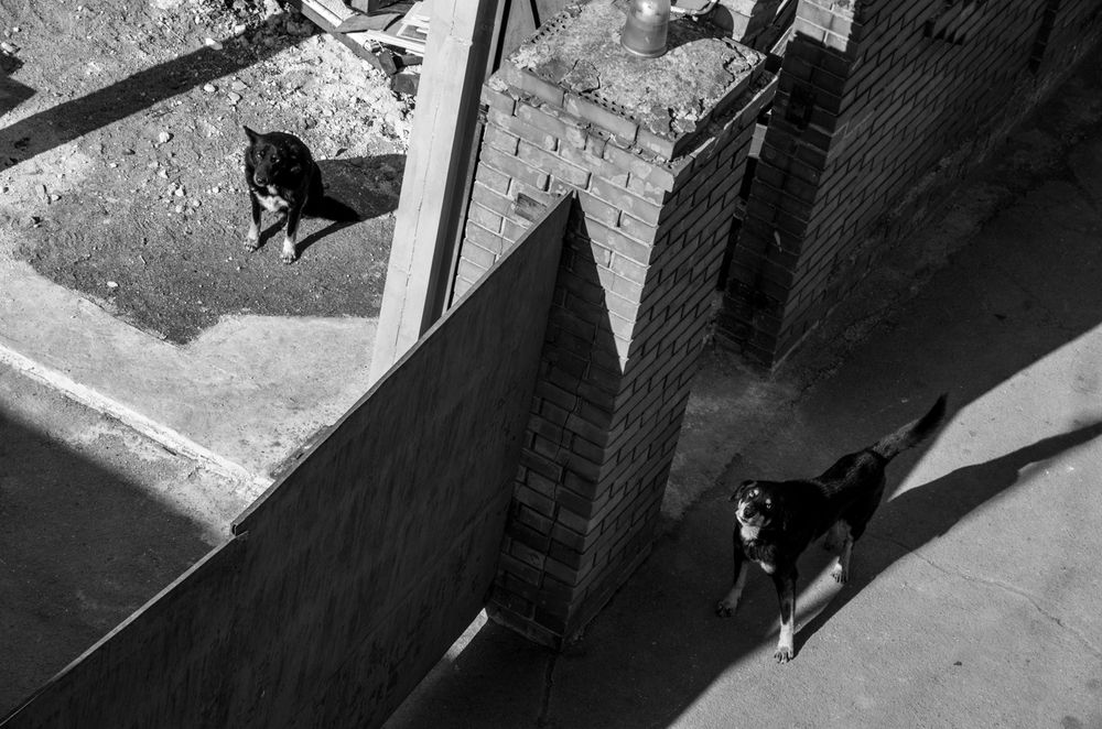 Photograph by Анна Иванова