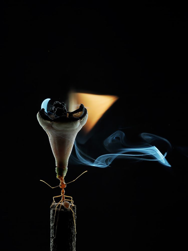 Photograph by Dzulfikri Dzulfikri