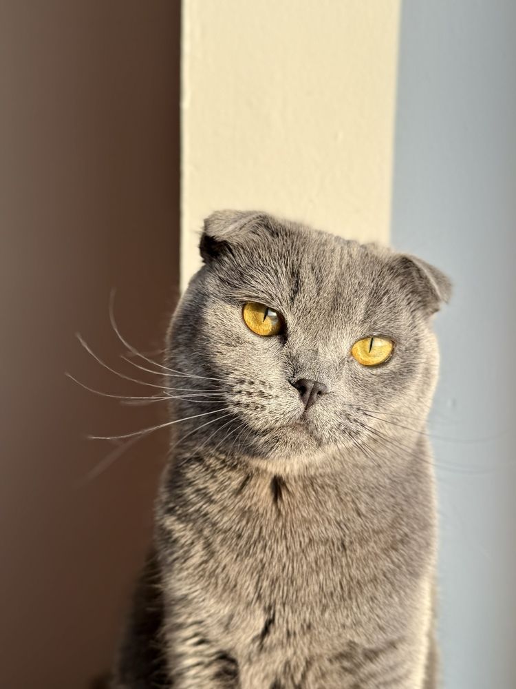 Photograph by Алина Соколова