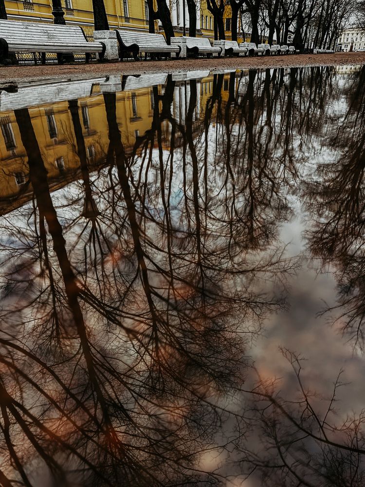 Photograph by Мария Петрова