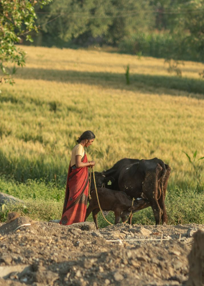Фотография автора Людмила Кириллова