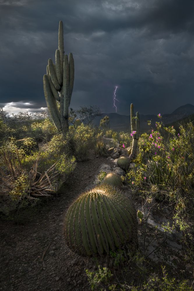 Photograph by Luis Roberto Lyons Suarez