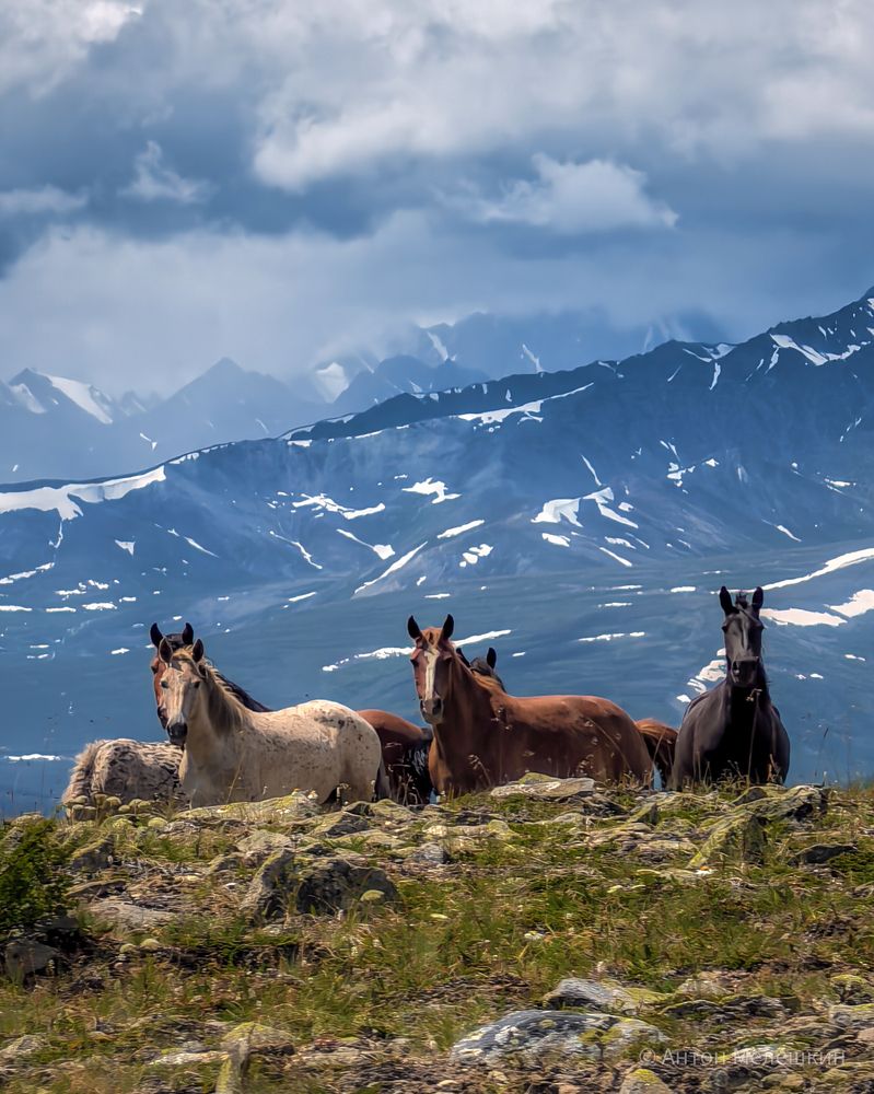 Photograph by Anton Melyoshkin