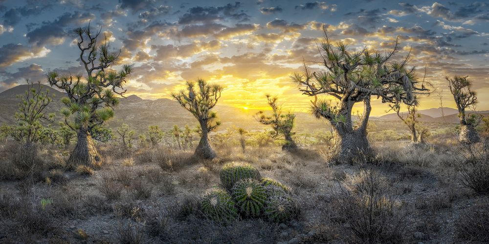 Photograph by Luis Roberto Lyons Suarez