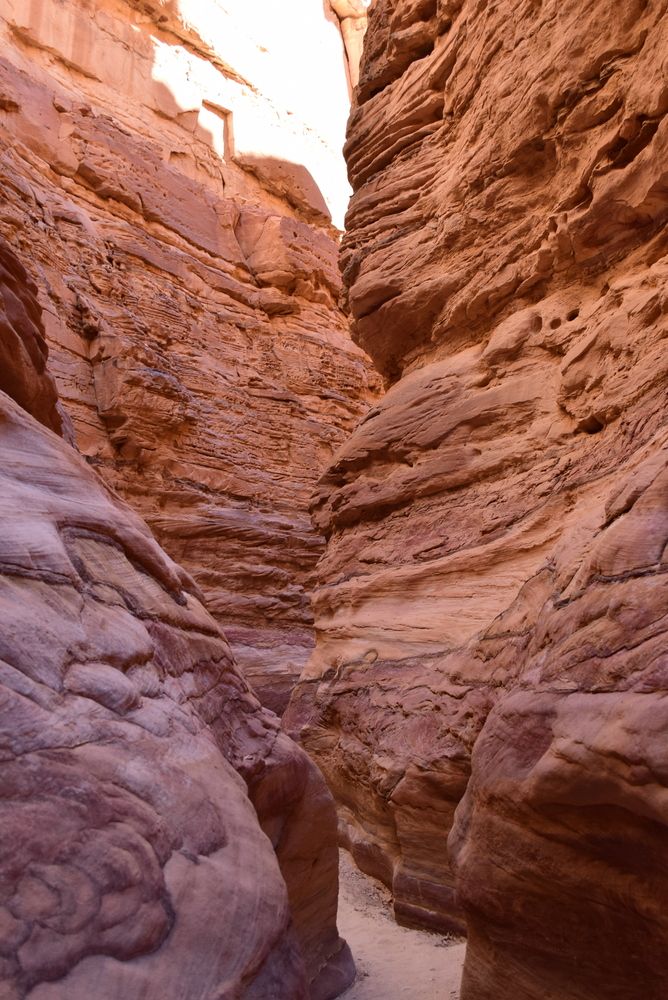 The Red Canyon