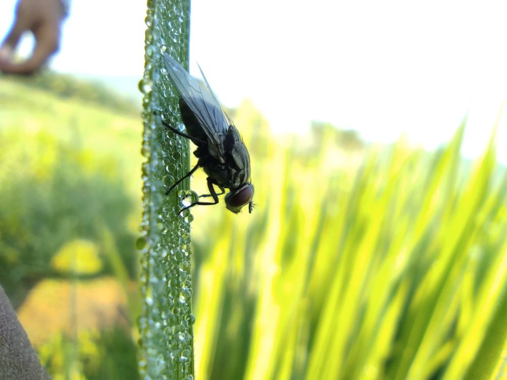 Photograph by Muhammed Junaid A P