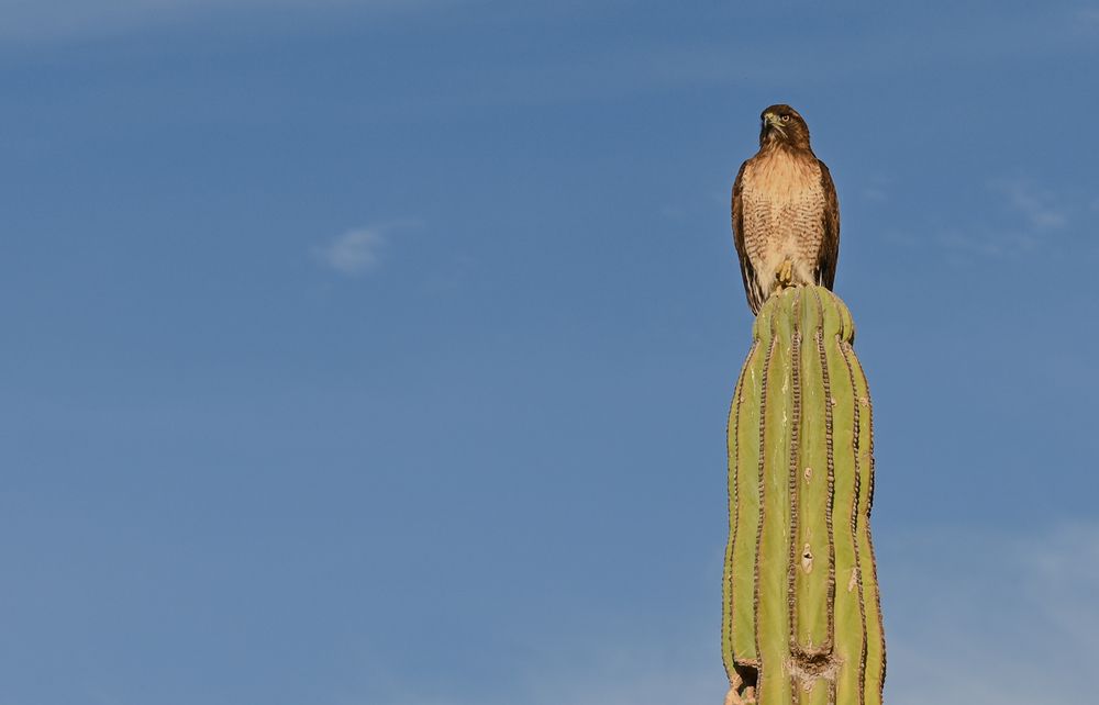 Фотография автора Gabriela Bonilla