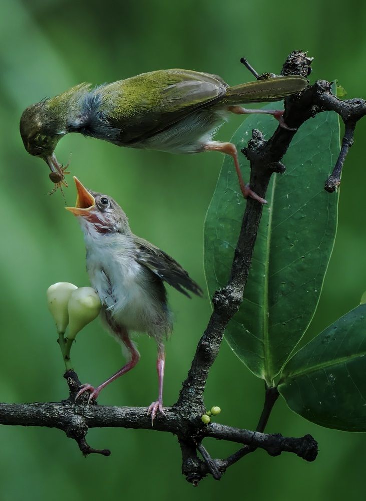 Photograph by Dzulfikri Dzulfikri