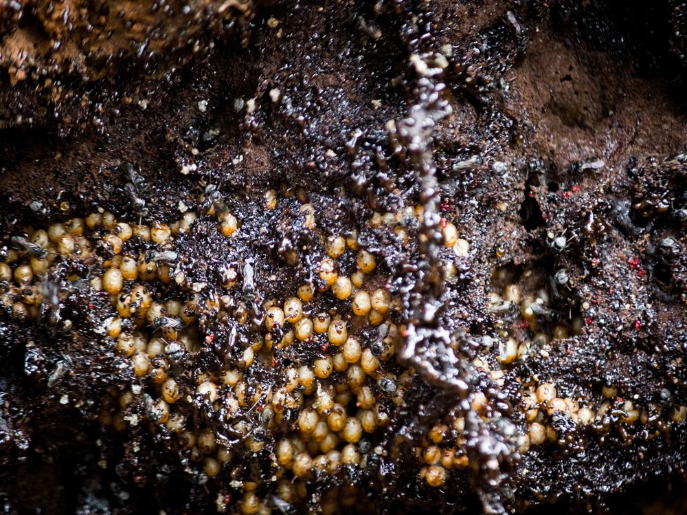 Photograph by Muhammed Junaid A P