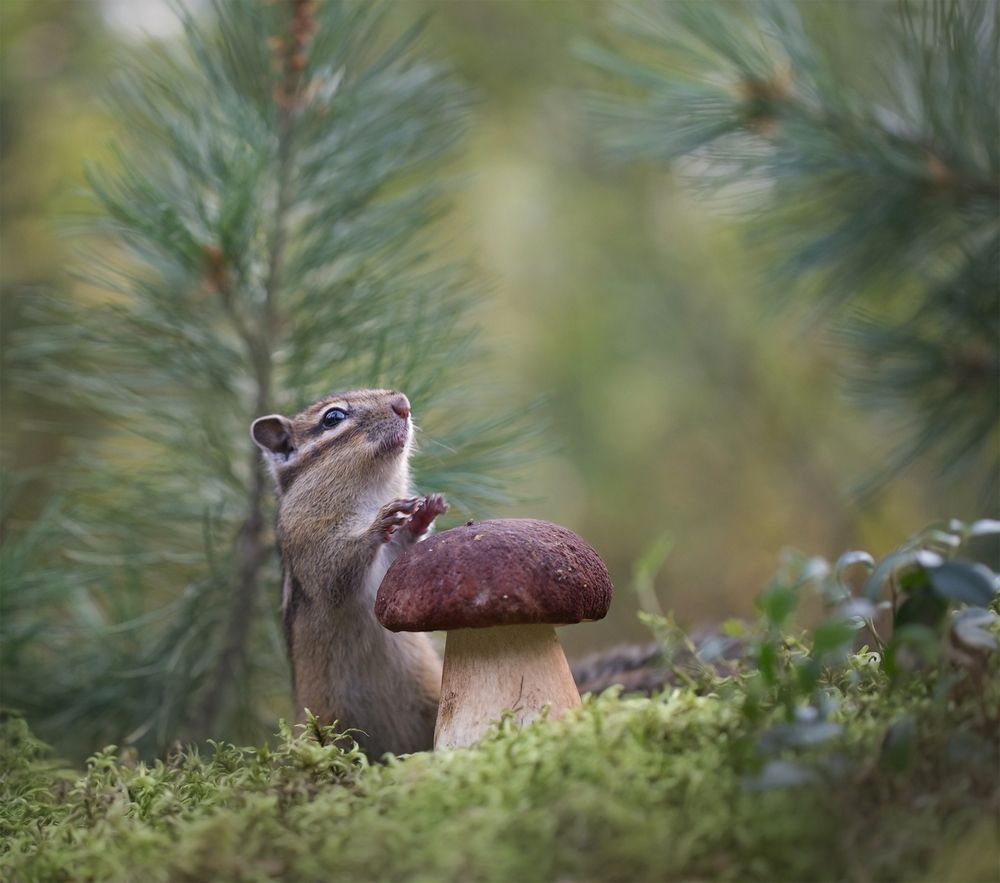 Photograph by Евгения Левина