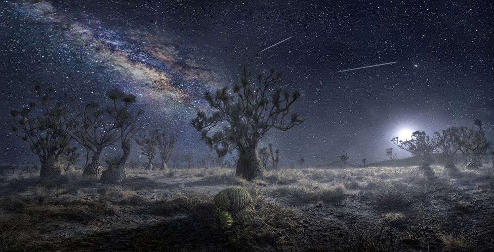 Shooting Stars at the Valley of Eternity