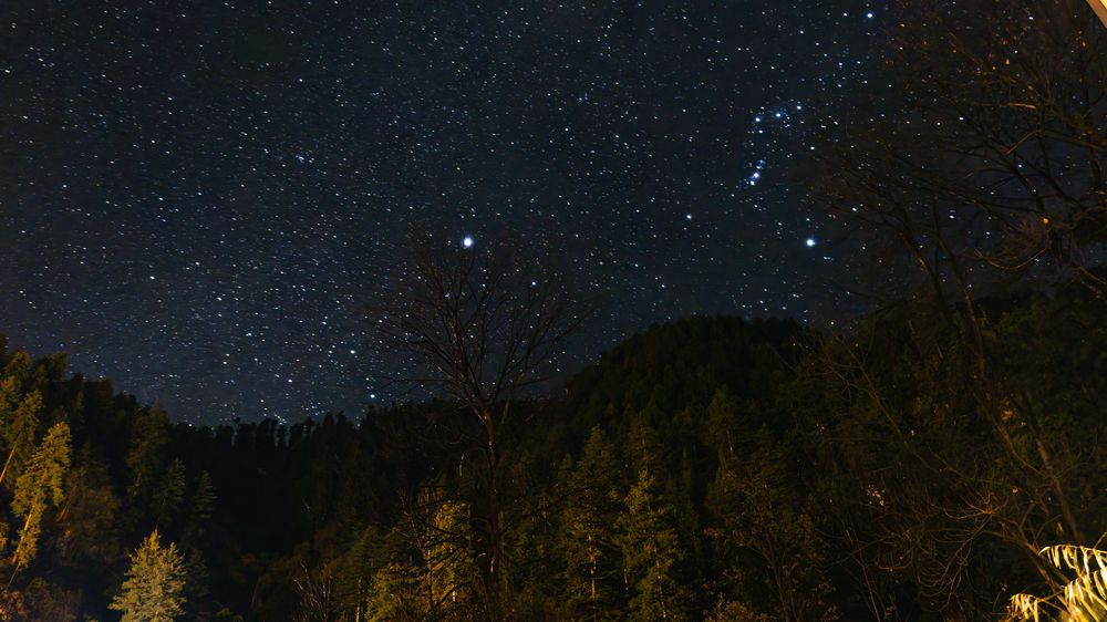 Photograph by Shrinjoy Maiti